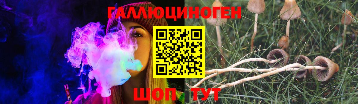 Галлюциногенные грибы Magic Shrooms Кимовск