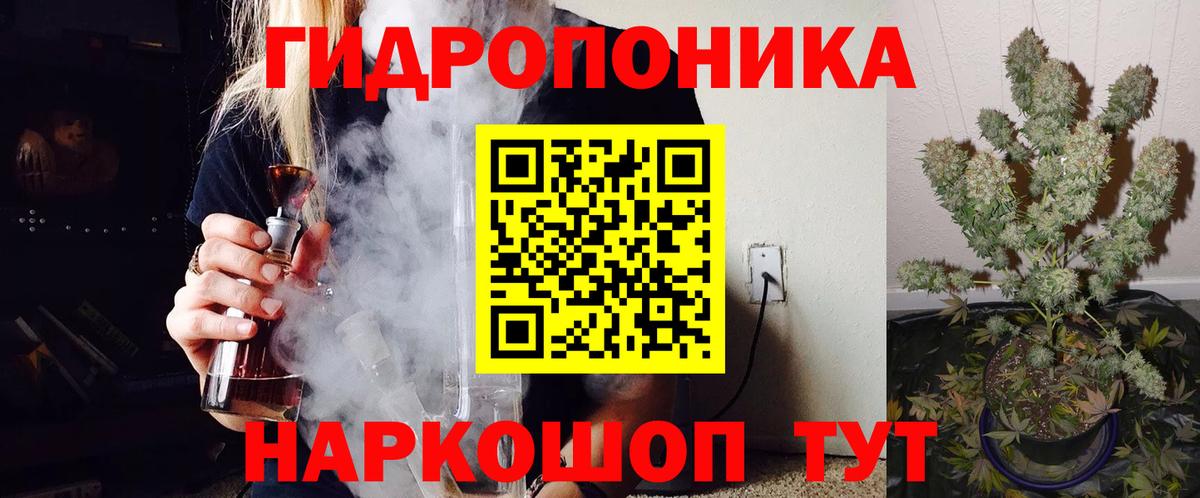 Каннабис семена Кимовск